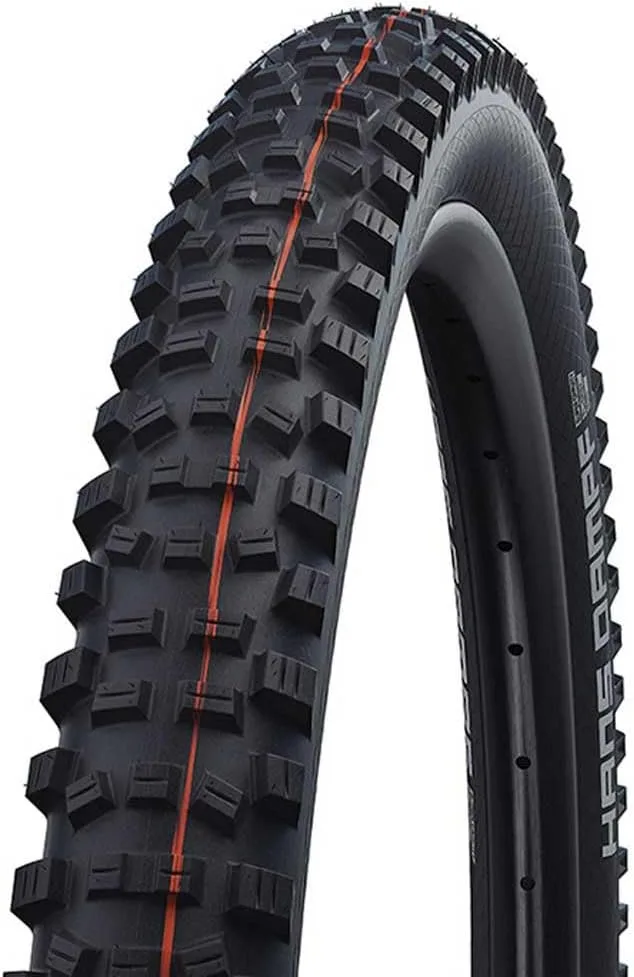 Schwalbe Hans Dampf