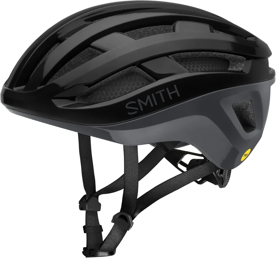 Smith Persist MIPS