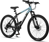 AVASTA Earth 26/27.5 Mountain Bike