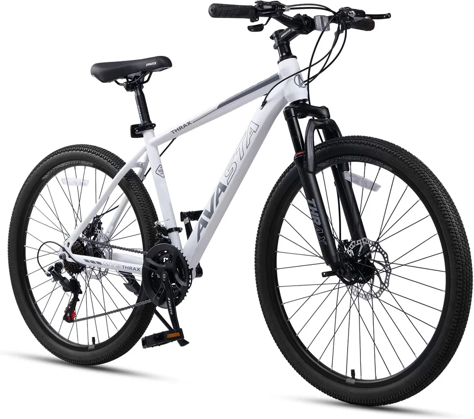 AVASTA Thrax Steel Mountain Bike