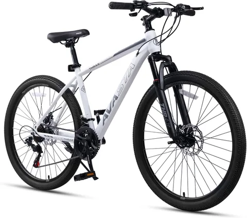 AVASTA Thrax Steel Mountain Bike