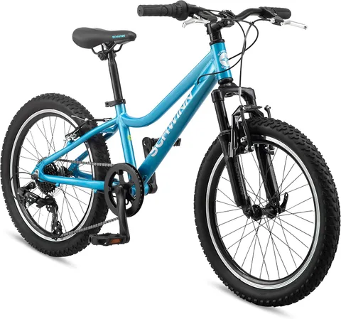 Schwinn High Timber AL 20 Youth